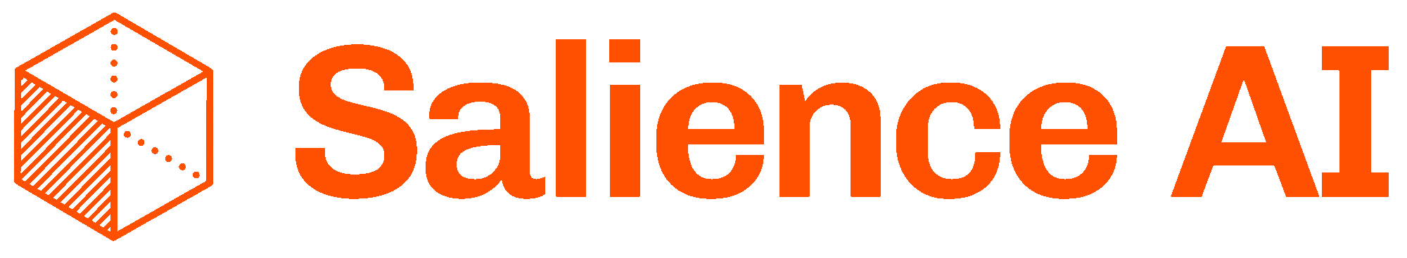 Salience AI logo